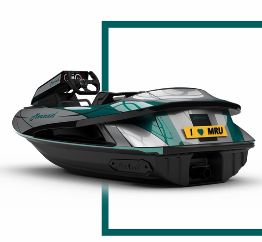 Dual Go-Kart Jetski Combo for Sale